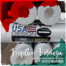 d ppmg filter cartridge  medium